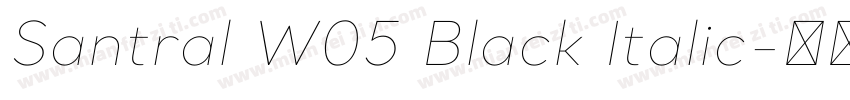 Santral W05 Black Italic字体转换